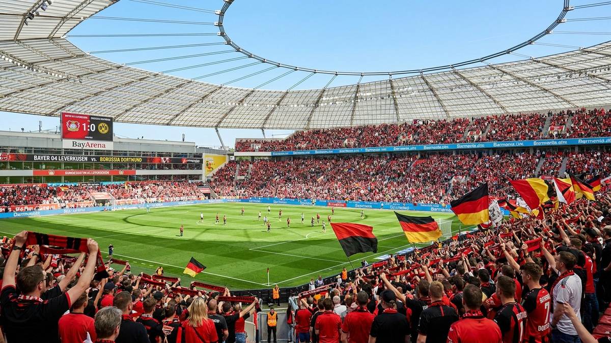 hero bayarena