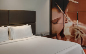 PARK PLAZA WESTMINSTER BRIDGE LONDON, לונדון